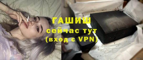гидра Алексеевка