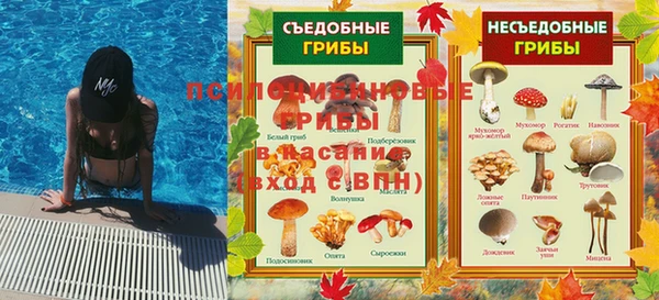 гидра Алексеевка