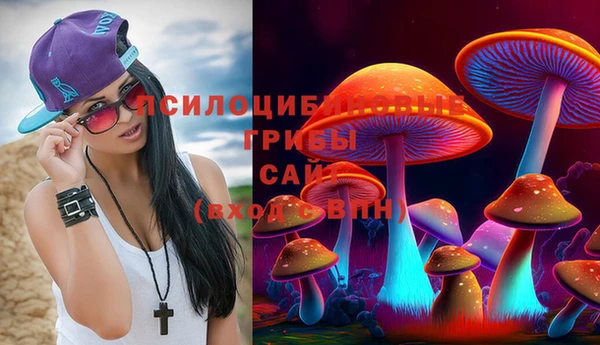 гидра Алексеевка