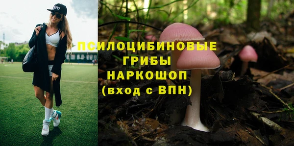 мяу мяу мука Алексин