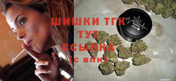 гидра Алексеевка